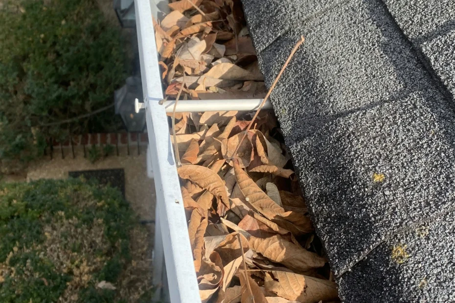 Gutter Cleaning Lake Arthur