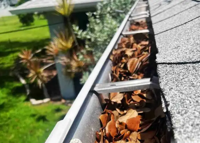 Gutter Cleaning Lake Arthur home page